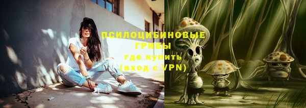 гидра Пересвет