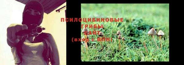 спайс Осинники