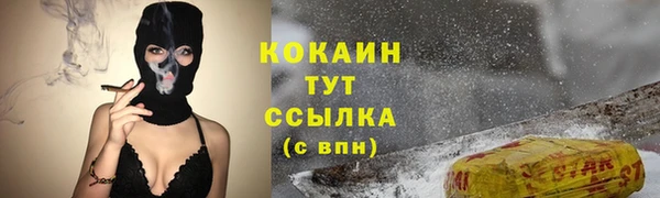 соль ск Переславль-Залесский