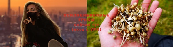 гидра Пересвет