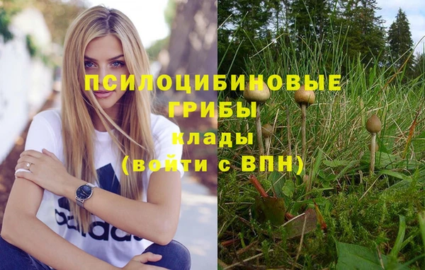 гидра Пересвет