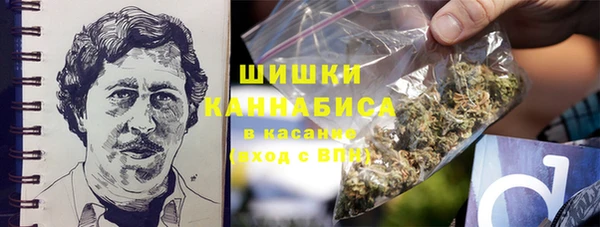 гидра Пересвет