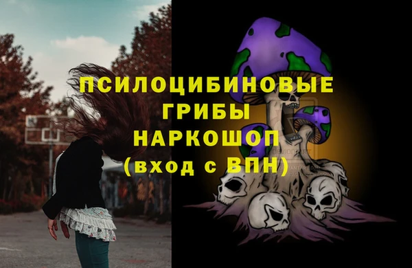 гидра Пересвет